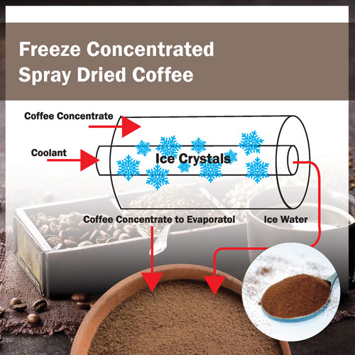 Freeze Concentrated Spray Dried Coffee