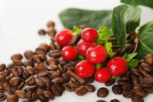 Instant Coffee OEM Solutions