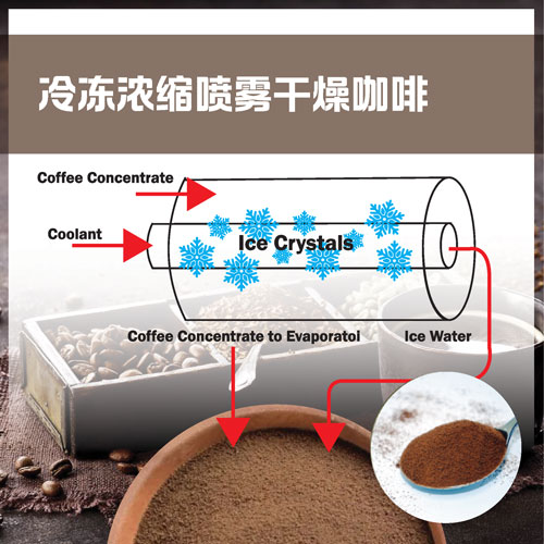 冷冻浓缩喷雾干燥咖啡